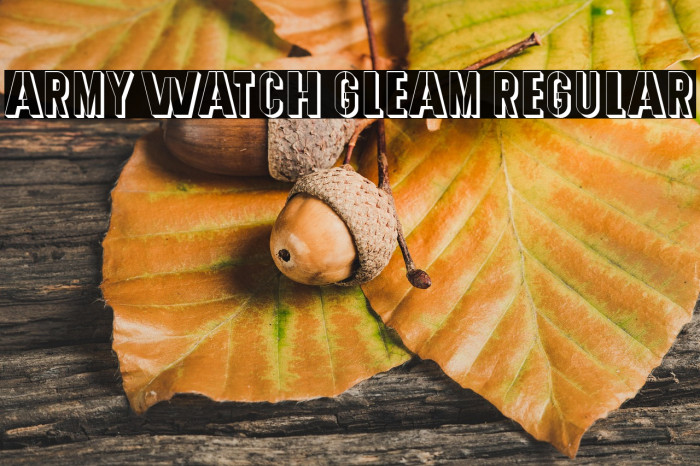 Army Watch Gleam Regular Example 2