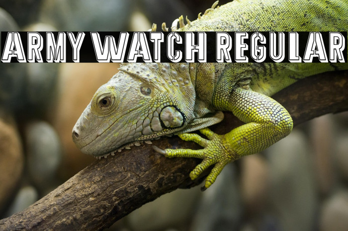 Army Watch Regular Example 3