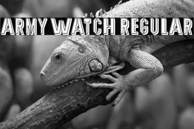 Army Watch Regular Example 3
