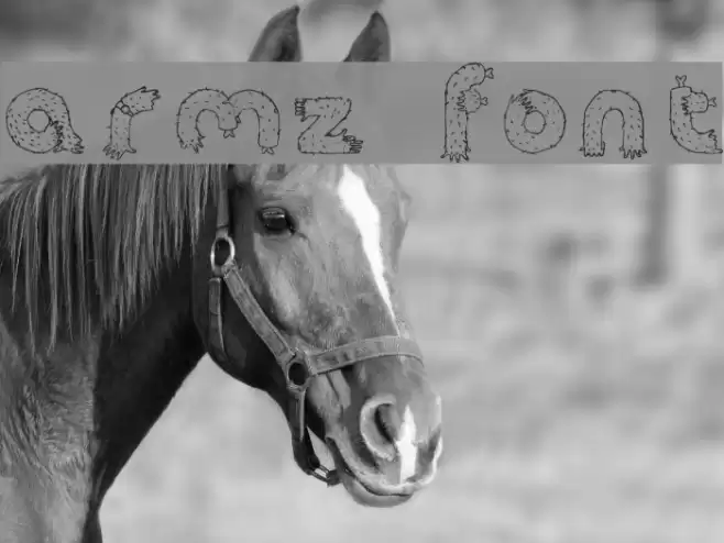 Armz Font examples
