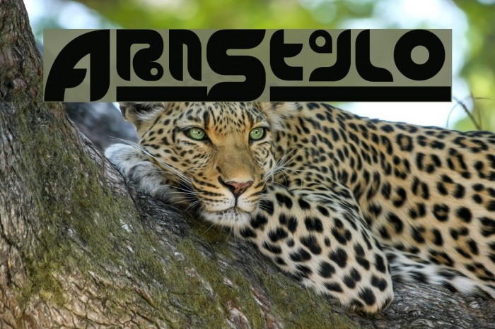 ArnStylo Font examples