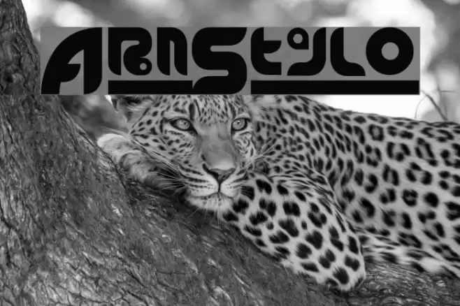 ArnStylo Font examples