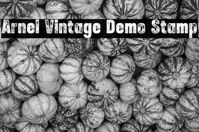 Arnel Vintage Demo Stamp Font examples