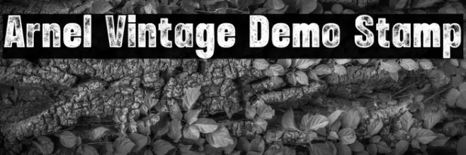 Arnel Vintage Demo Stamp Font examples