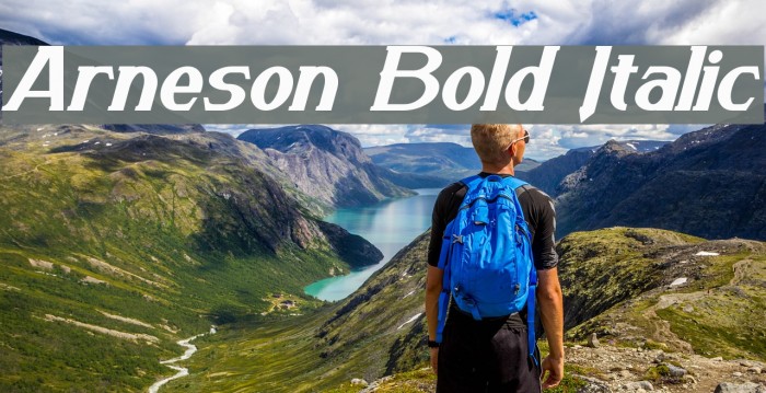 Arneson Bold Italic Example 2