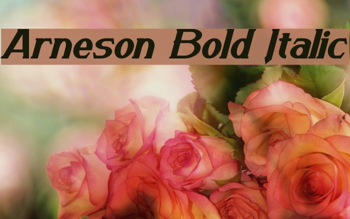 Arneson Bold Italic Example 3