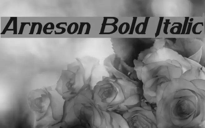 Arneson Bold Italic Font examples