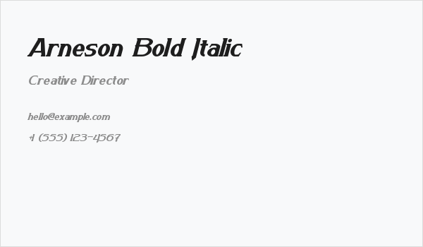 Arneson Bold Italic Business Card