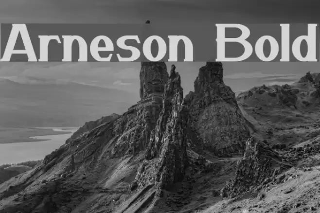 Arneson Bold Font examples