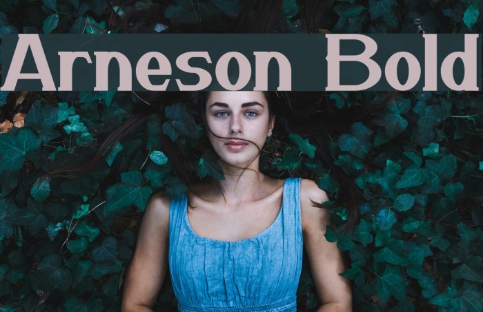 Arneson Bold Font examples