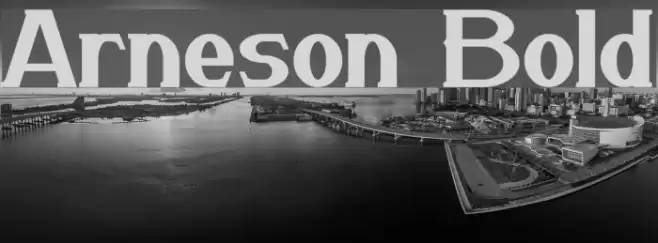 Arneson Bold Font examples