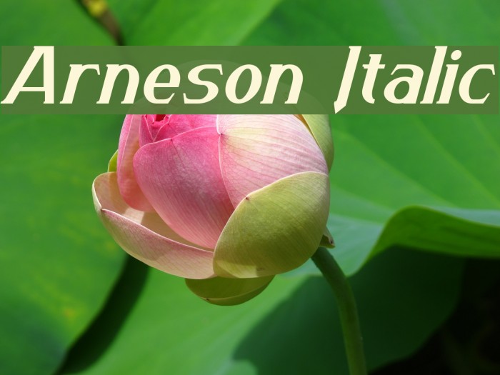 Arneson Italic Font examples