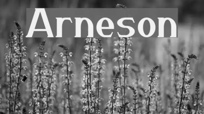 Arneson フォント examples