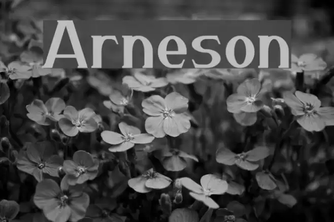 Arneson フォント examples
