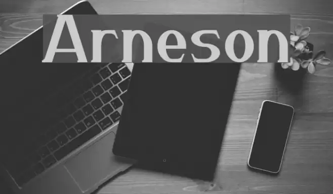 Arneson フォント examples