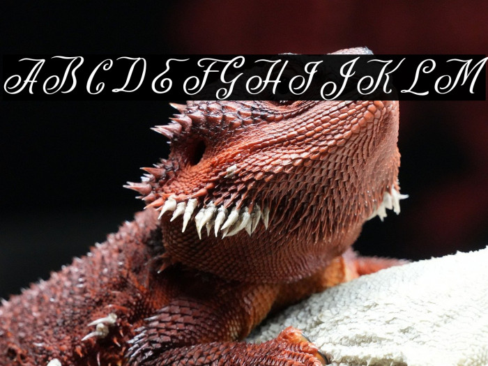 ArnetteDEMO Example 3