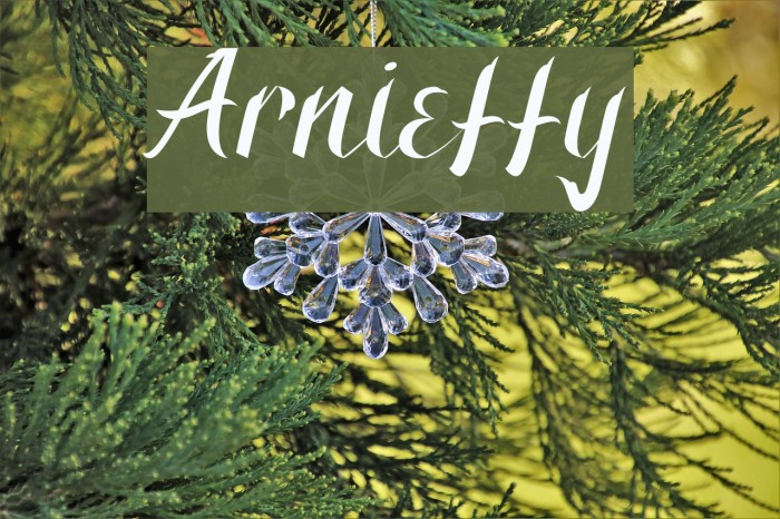 Arnietty Fonte examples