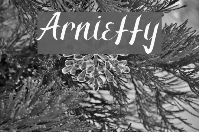 Arnietty Font examples