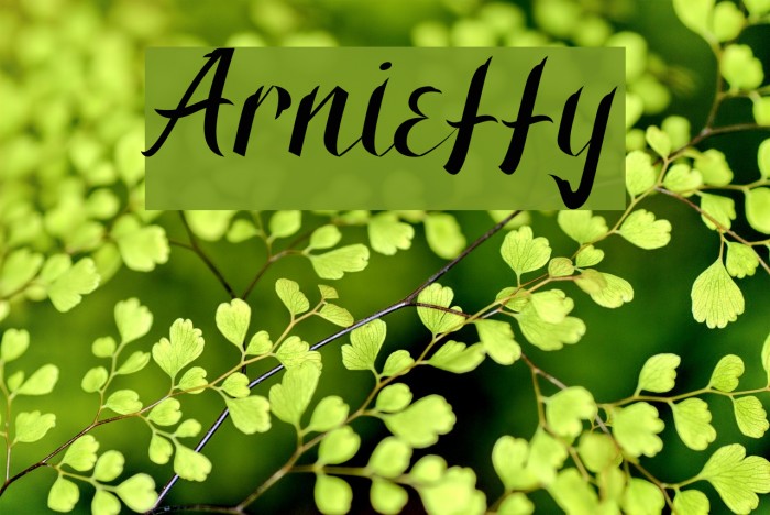Arnietty Fonte examples