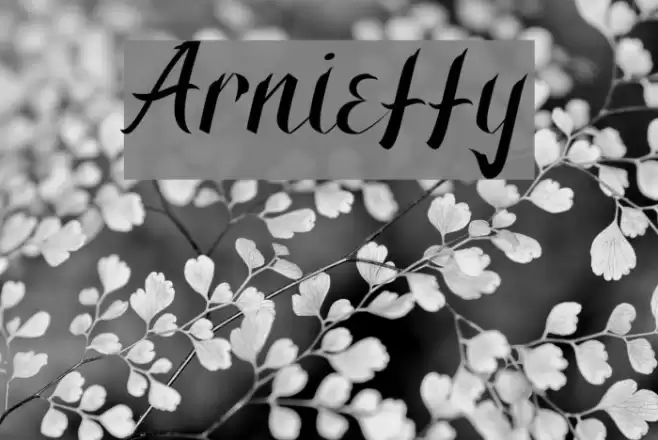 Arnietty Font examples