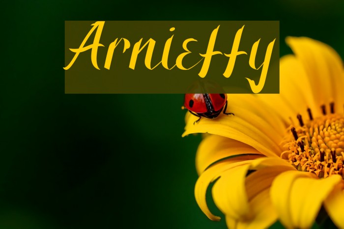 Arnietty Fonte examples