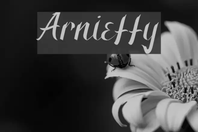 Arnietty Font examples