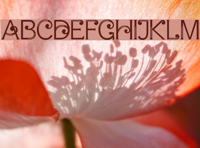 ArnoiaDisplay Example 2