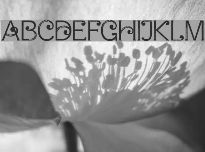 ArnoiaDisplay Font examples