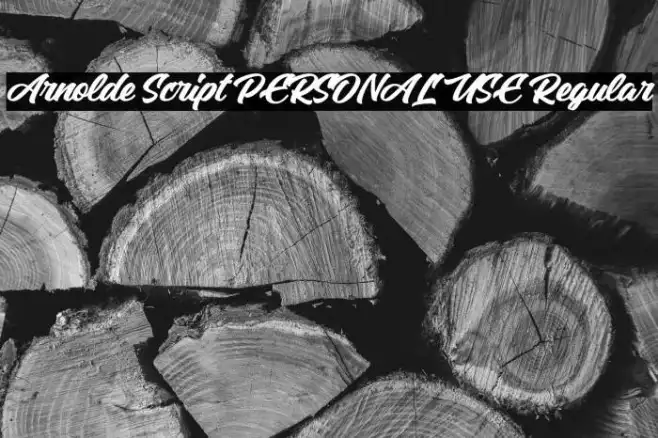 Arnolde Script PERSONAL USE Regular Example 1