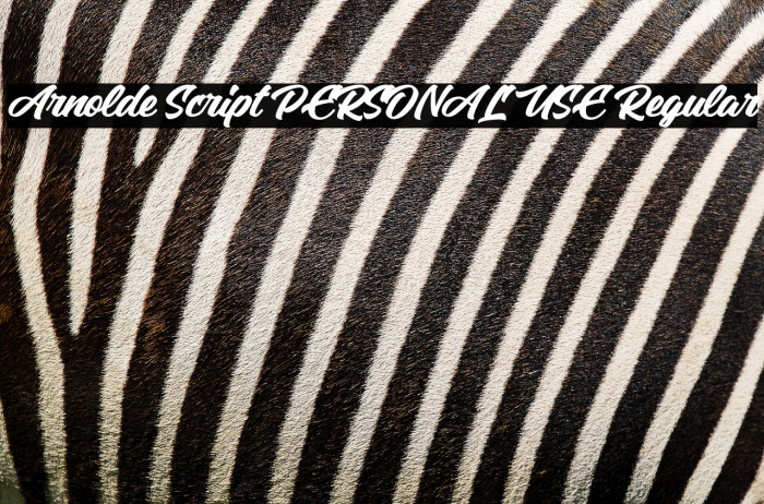 Arnolde Script PERSONAL USE Regular Example 2