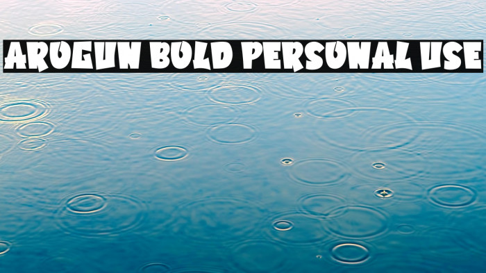 Arogun Bold Personal Use Example 1