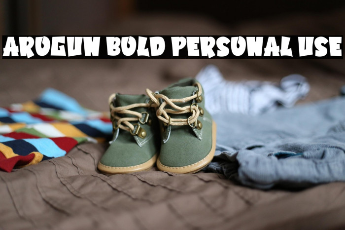 Arogun Bold Personal Use Example 2