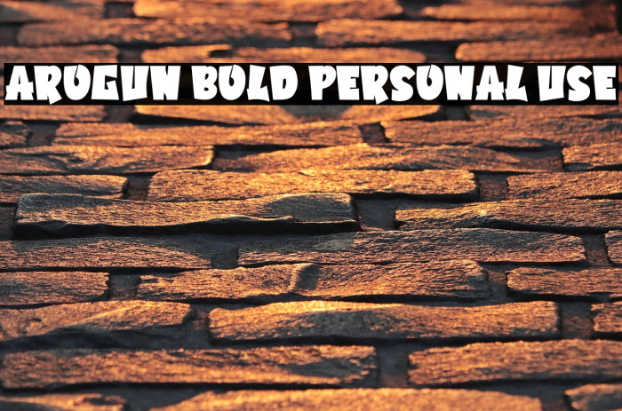 Arogun Bold Personal Use Example 3