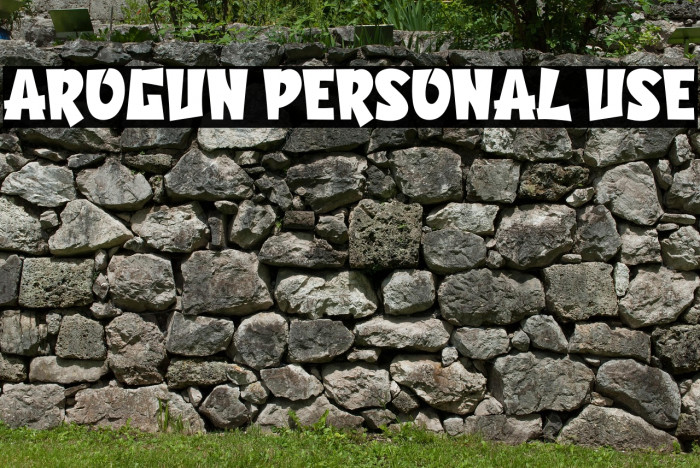 Arogun Personal Use Example 1