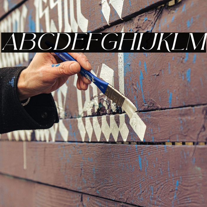 Arolse Belmonteria Serif Italic Example 1