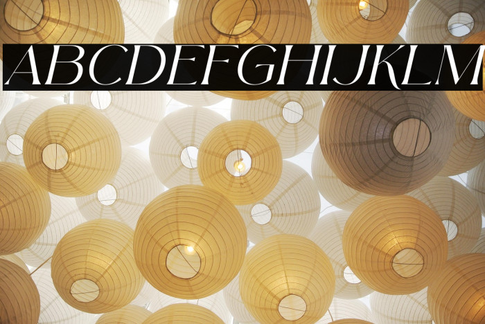 Arolse Belmonteria Serif Italic Example 2