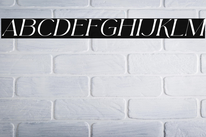 Arolse Belmonteria Serif Italic Example 3