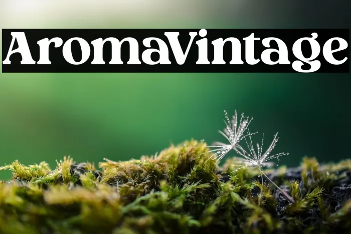 Aroma Vintage Example 2
