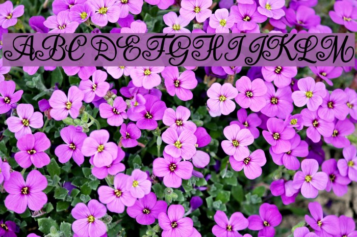 Aromabar Personal Use Font examples