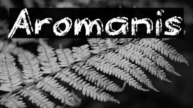 Aromanis Font examples