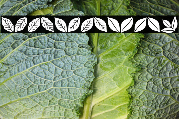 Aromatron Ornaments Example 2