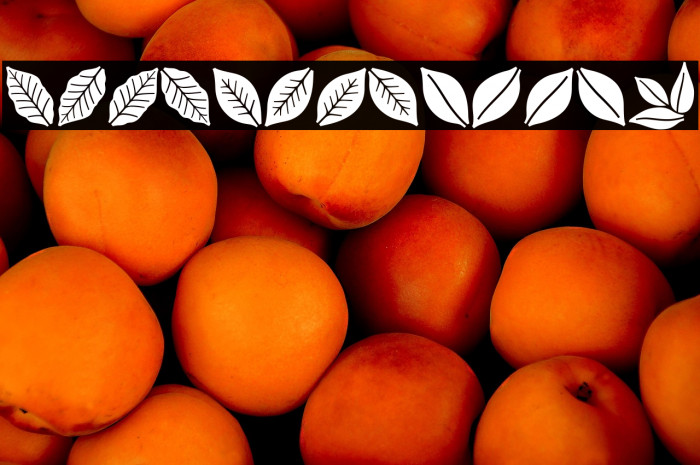 Aromatron Ornaments Example 3