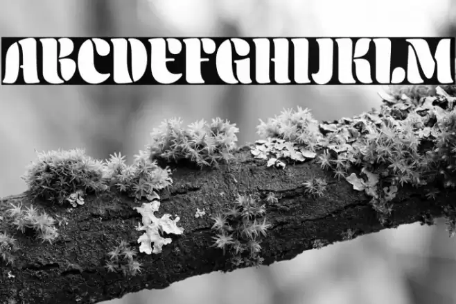 Aromatron Regular Font examples