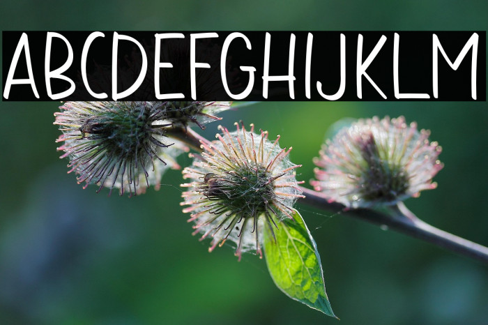 Aromi Caps Example 2