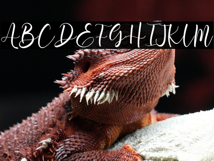 Aromi Script Example 2