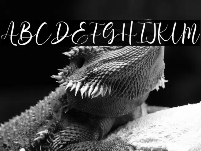 Aromi Script Font examples