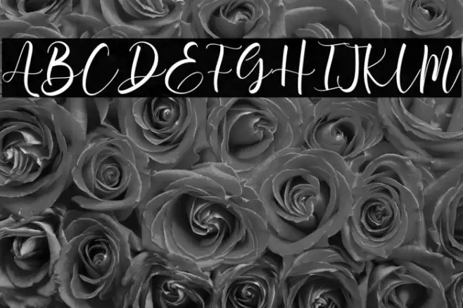 Aromi Script Font examples