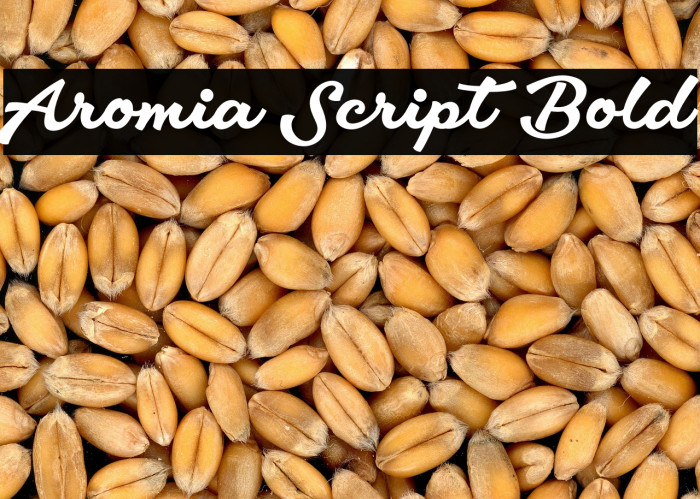 Aromia Script Bold Example 2