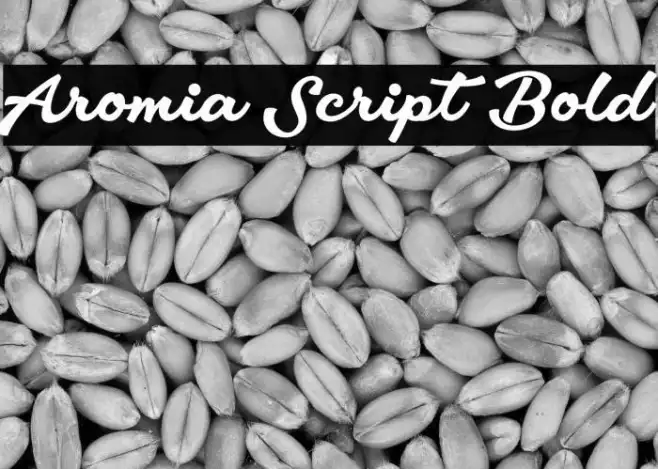 Aromia Script Bold Example 2