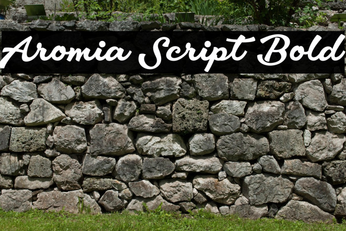 Aromia Script Bold Example 3